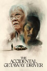 The Accidental Getaway Driver Online In Netflix