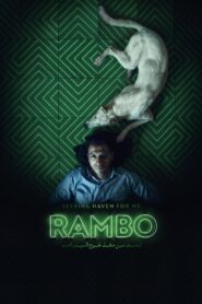 Seeking Haven for Mr. Rambo Online In Netflix