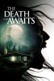 The Death That Awaits Online In Netflix
