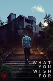 What You Wish For Online In Netflix