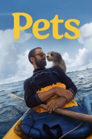 Pets Online In Netflix