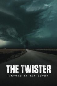 The Twister: Caught in the Storm Online In Netflix