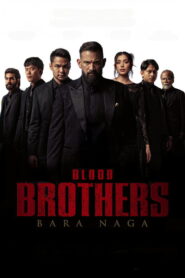 Blood Brothers: Dragon’s Embers Online In Netflix