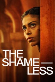 The Shameless Online In Netflix