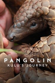 Pangolin: Kulu’s Journey Online In Netflix