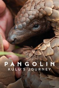 Pangolin: Kulu’s Journey Online In Netflix