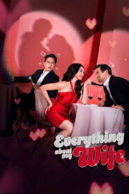 Everything About My Wife Online In Netflix