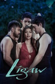 Ligaw Online In Netflix