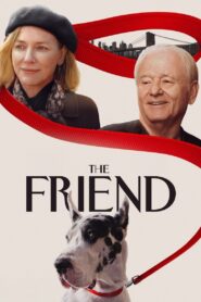 The Friend Online In Netflix