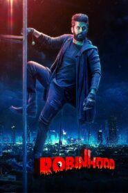 Robinhood Online In Netflix