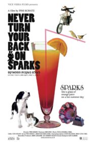 Never Turn Your Back On Sparks – 2014 – Online In Netflix
