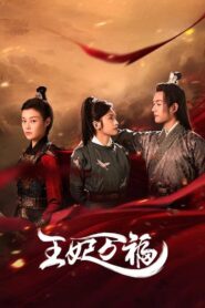 王妃万福 – 2023 Online gratis free Netflix