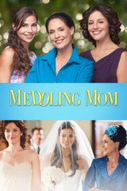 Meddling Mom – 2013 – Online In Netflix