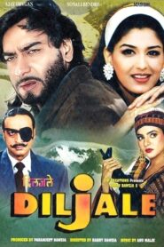 Diljale – 1996 – Online In Netflix