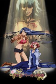 Wellber no Monogatari: Kanashimi no Senshi Galahad no Banka – 2007 – Online In Netflix