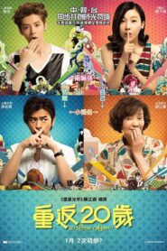 重返20岁 – 2015 – Online In Netflix