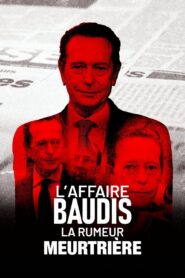 L’Affaire Baudis, la rumeur meurtrière – 2021 – Online In Netflix