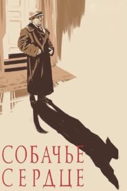 Собачье сердце – 1988 – Online In Netflix