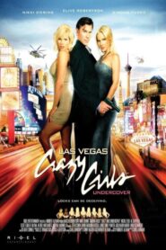 Crazy Girls Undercover – 2008 – Online In Netflix