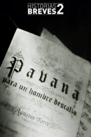 Historias Breves II: Pavana para un hombre descalzo – 1996 – Online In Netflix