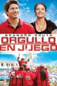 Flechas Torcidas – 2012 – Online In Netflix