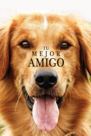 La razón de estar contigo – 2017 – Online In Netflix