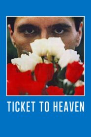 Ticket to Heaven – 1981 – Online In Netflix