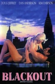 Blackout – 1996 – Online In Netflix