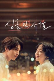 싱글 인 서울 – 2023 – Online In Netflix