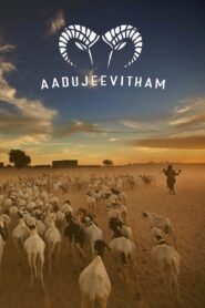 ആടുജീവിതം – 2024 – Online In Netflix