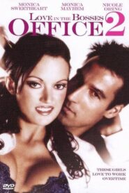 Love in the Bosses Office 2 – 2007 – Online In Netflix