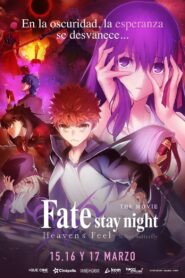 Fate/Stay Night: Heaven’s Feel – II. Lost Butterfly – 2019 – Online In Netflix