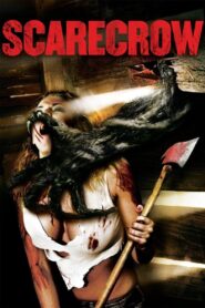 Scarecrow – 2013 – Online In Netflix
