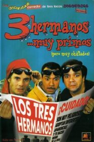 Les Trois Frères – 1995 – Online In Netflix