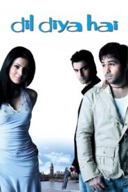 दिल दिया है – 2006 – Online In Netflix