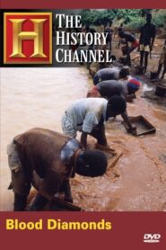 Blood Diamonds – 2006 – Online In Netflix