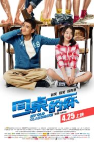 同桌的你 – 2014 – Online In Netflix