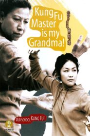 我的婆婆黃飛鴻 – 2003 – Online In Netflix
