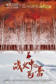 战火中的芭蕾 – 2015 – Online In Netflix