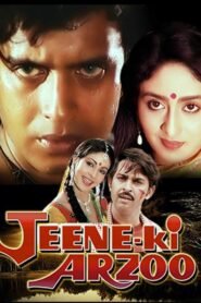 Jeene ki arzoo – 1981 – Online In Netflix