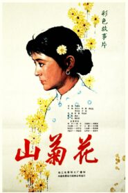 山菊花 – 1982 – Online In Netflix