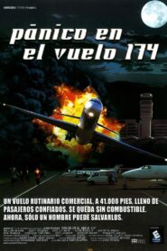 Freefall: Flight 174 – 1995 – Online In Netflix