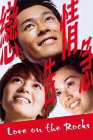 戀情告急 – 2004 – Online In Netflix