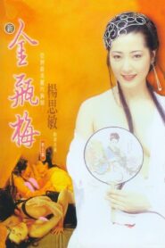 新金瓶梅 第五集 – 1996 – Online In Netflix