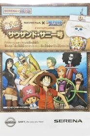 SERENA×ONE PIECE 潜入!!サウザンド・サニー号 – 2011 – Online In Netflix