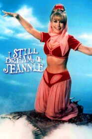 El sueño de Jeannie – 1991 – Online In Netflix