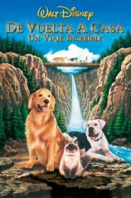 Volviendo a Casa: Un Viaje Increíble – 1993 – Online In Netflix