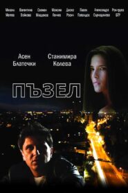 Пъзел – 2012 – Online In Netflix