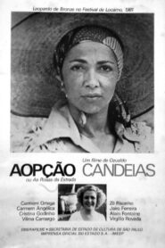 Aopção ou As Rosas da Estrada – 1981 – Online In Netflix