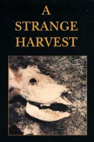 A Strange Harvest – 1980 – Online In Netflix